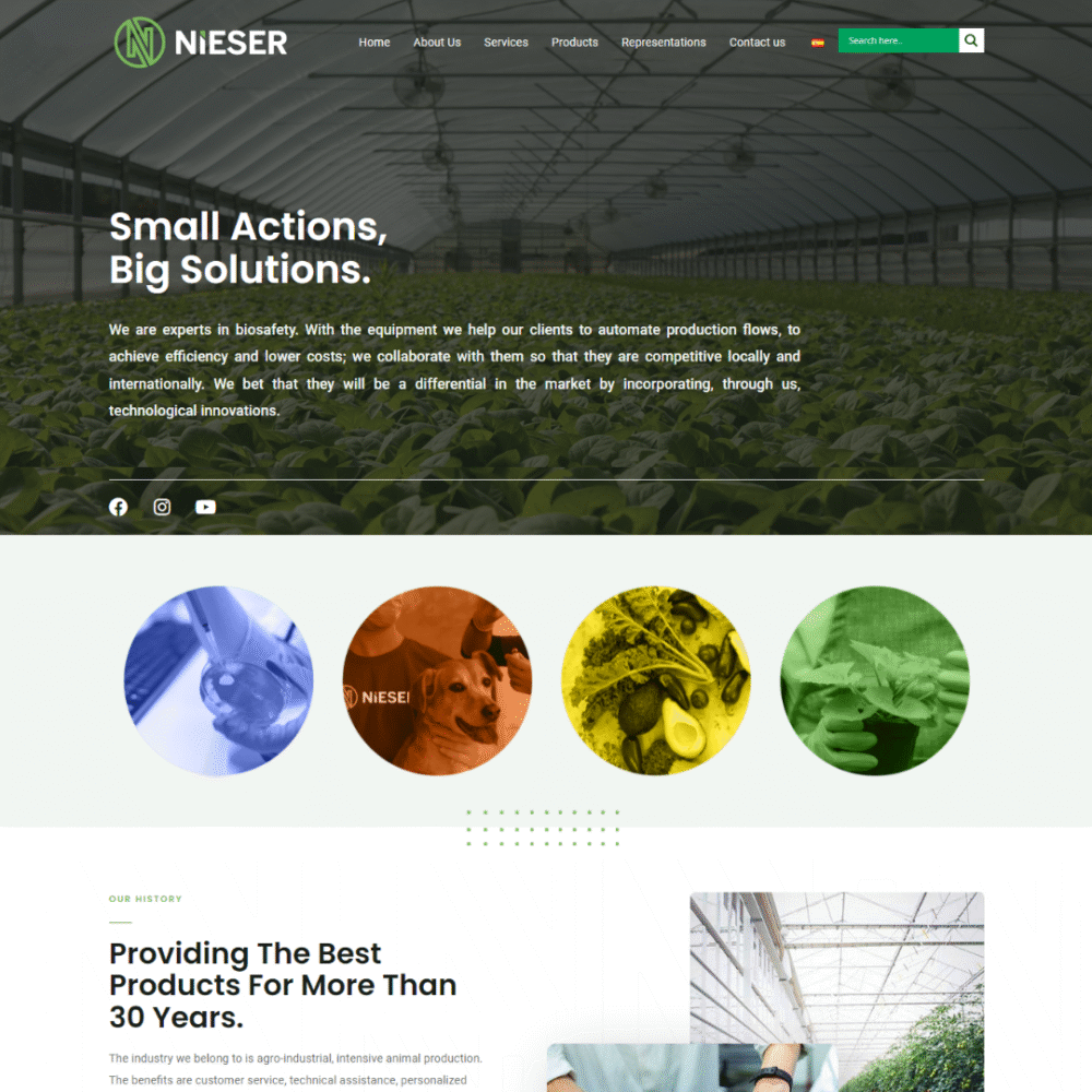 Agencia Especializada en Páginas Web