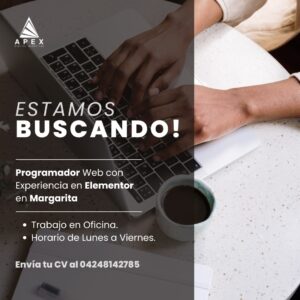 Oferta de Empleo: Programador Web en La isla Margarita