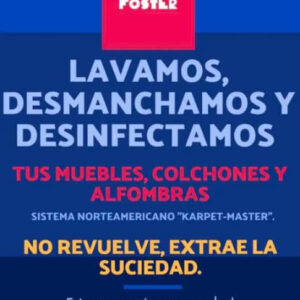 Servicio Profesional De Lavado, Desmanchado Y Desinfección - Foster